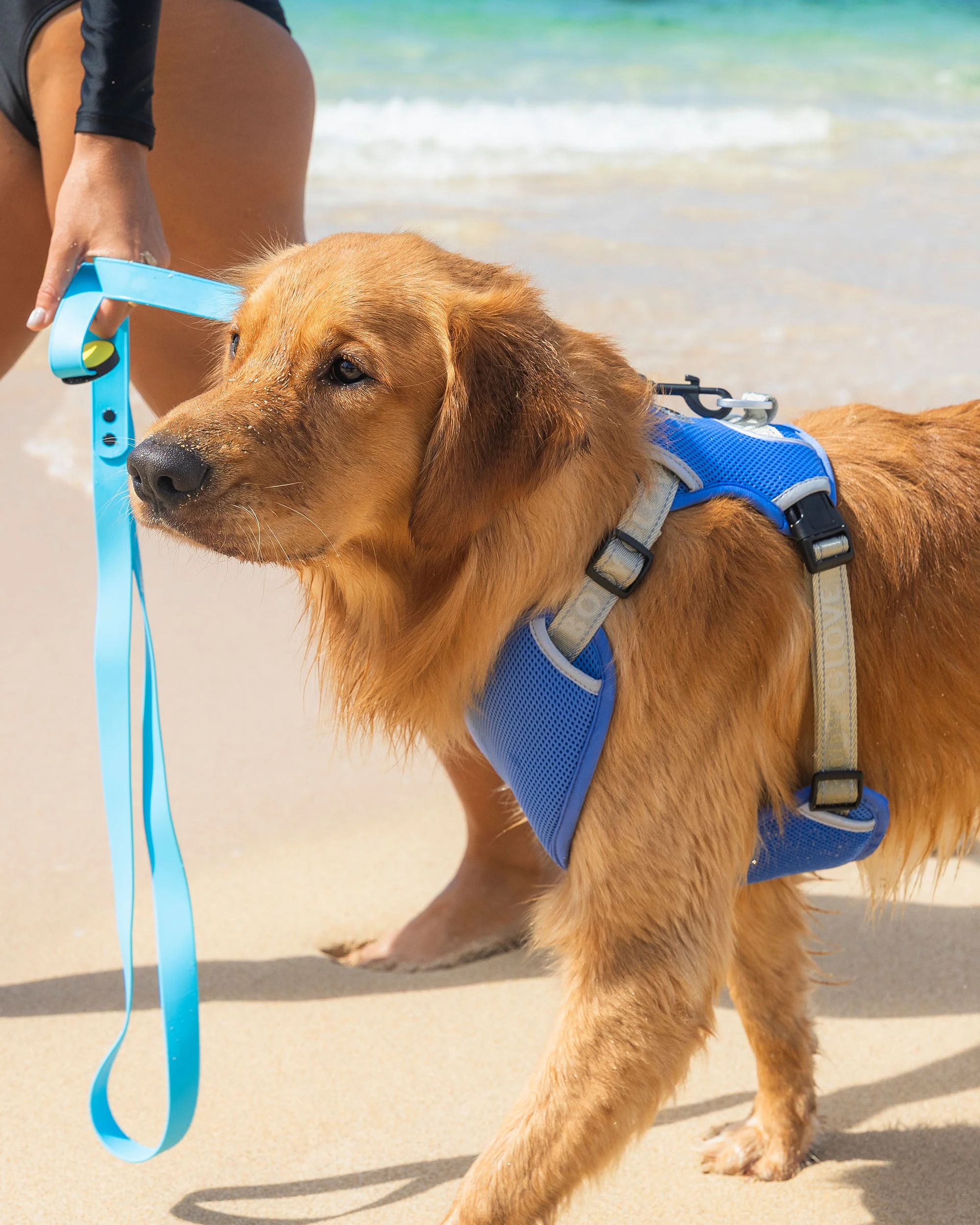 Cooling Harness - Blue - Image 2