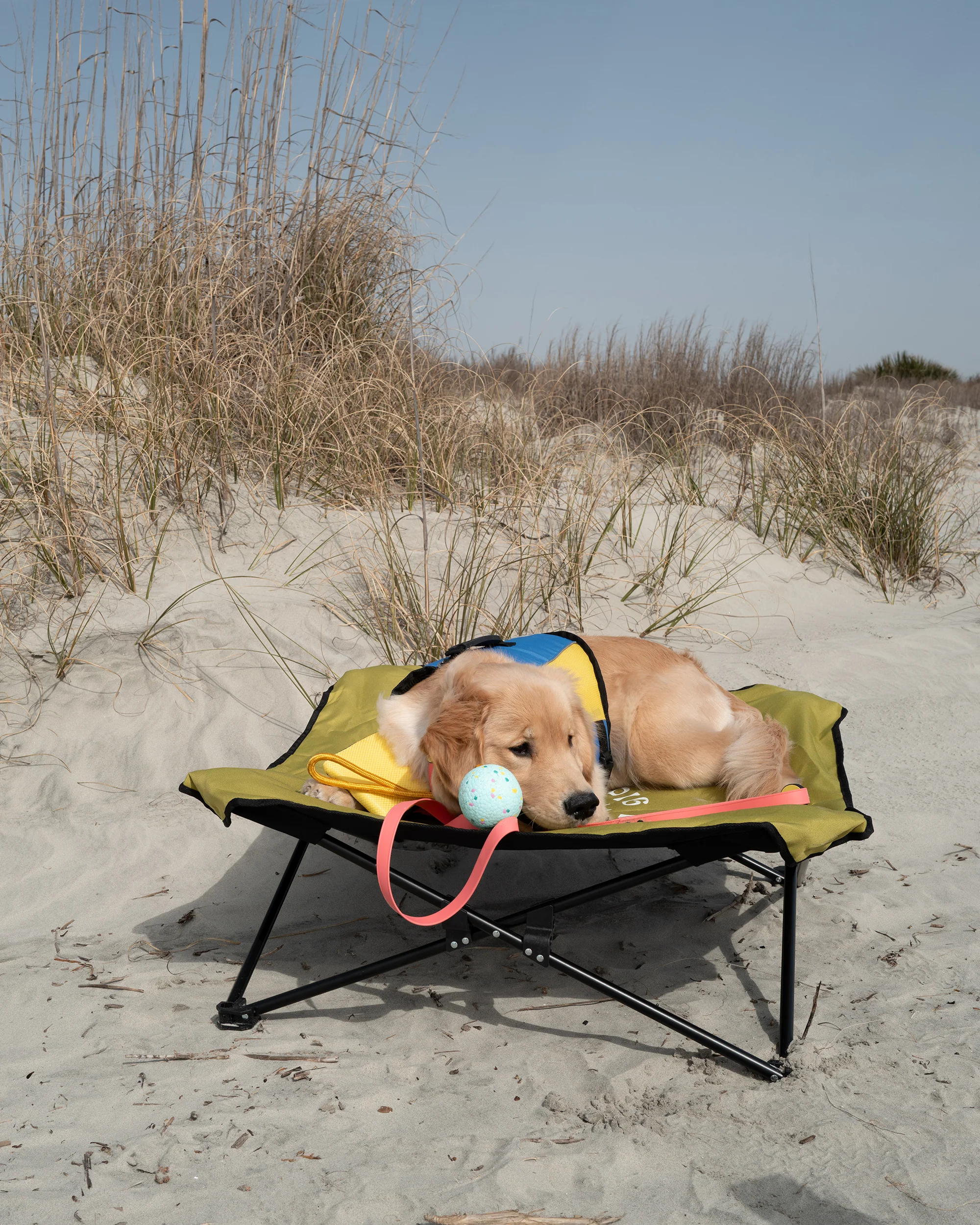 Fold & Go Pet Cot - Lime - Image 4
