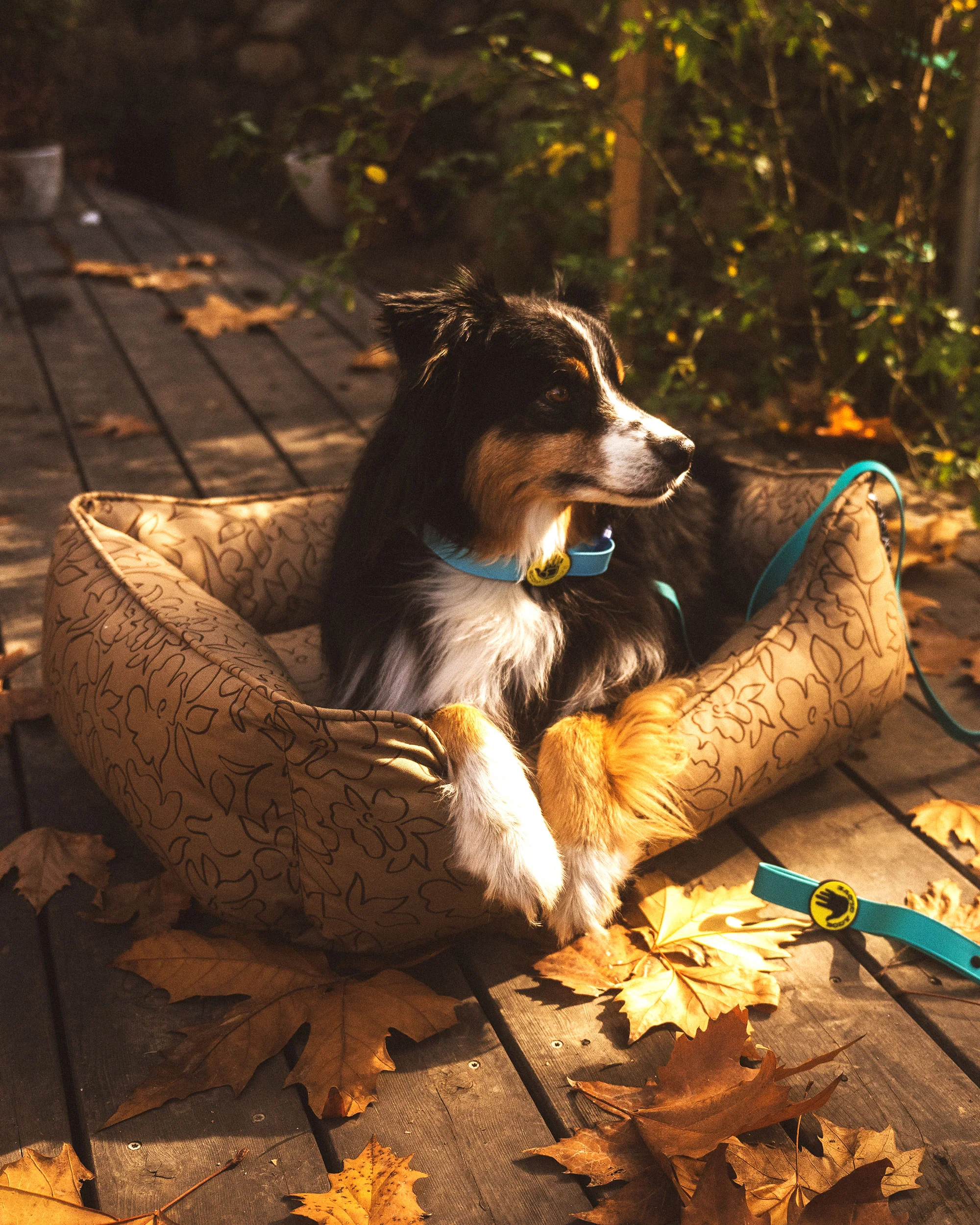 Paintflower Kuddler Pet Bed - Earth - Image 3