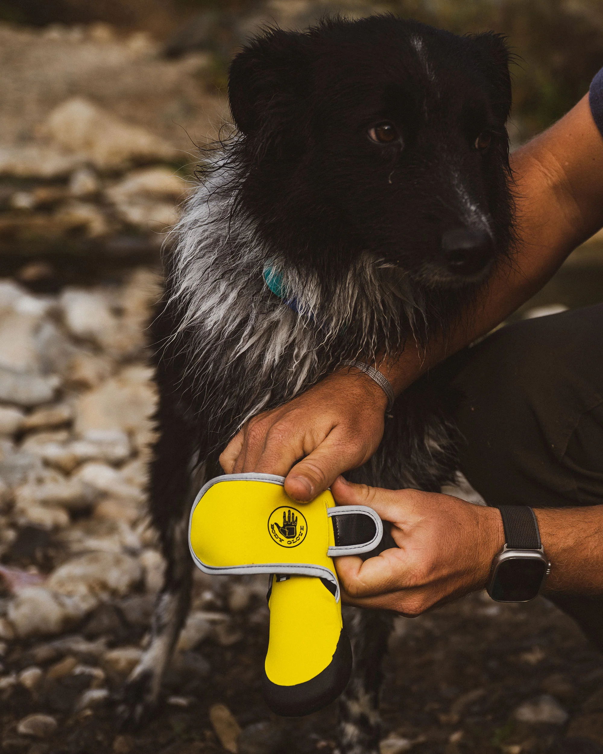 Paw Protector Booties - Yellow - Image 2