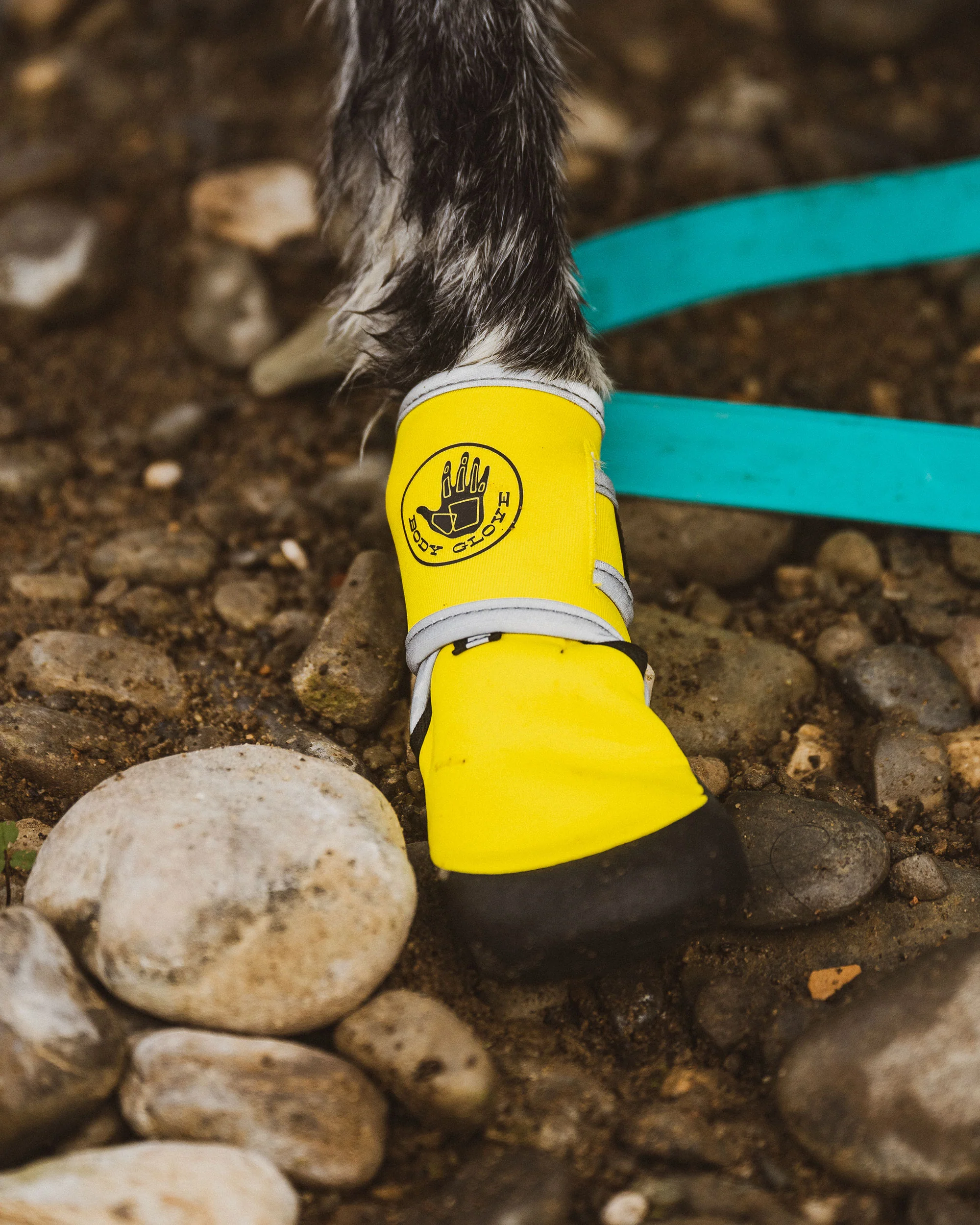Paw Protector Booties - Yellow - Image 3
